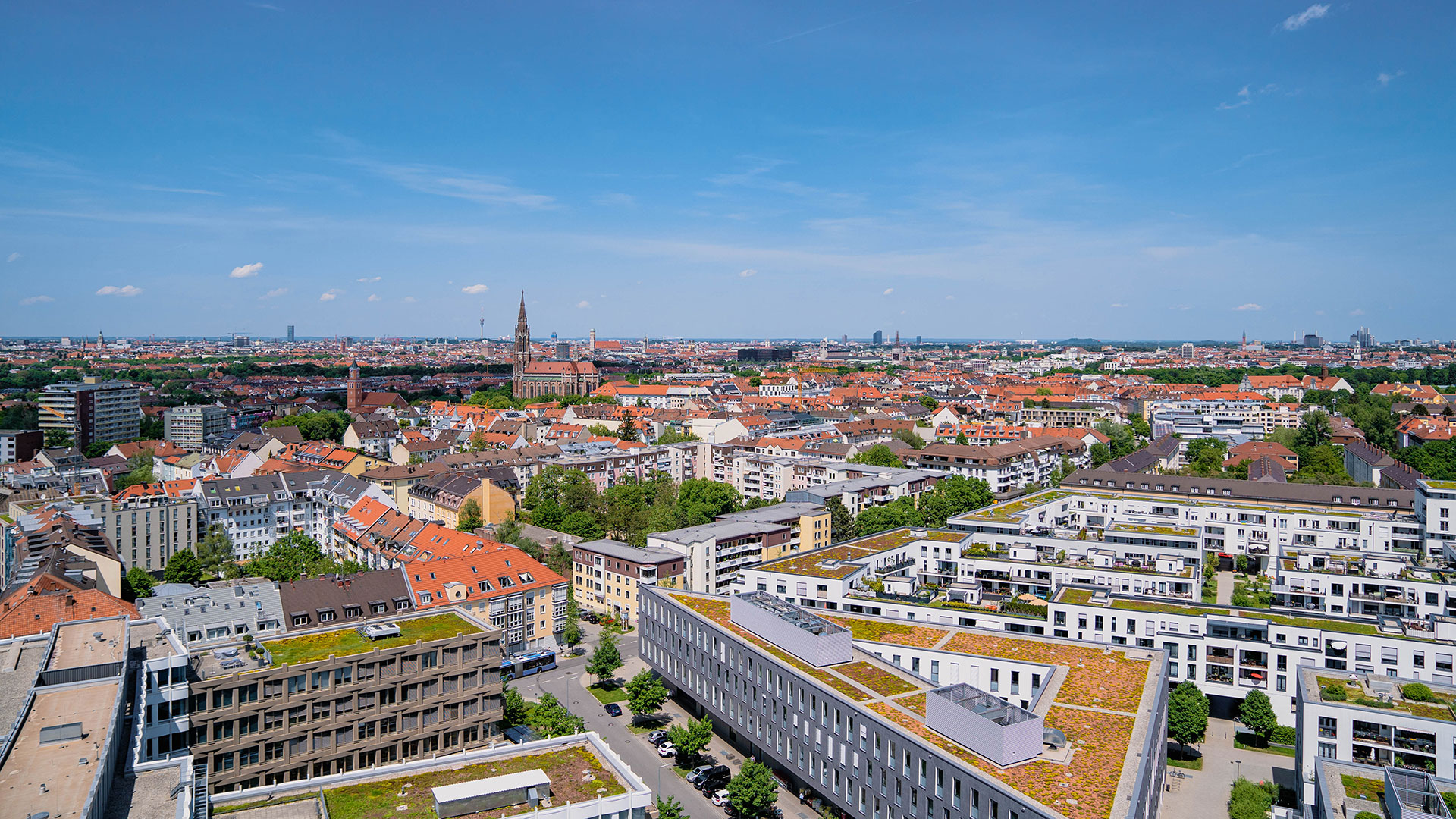 VitaForst Dachbegrünung