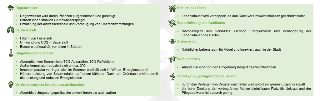Warum Dachbegrünung: Nicht nur die Vorgaben unserer Politik sollten Sie dazu bewegen, sich für ein Gründach zu entscheiden, denn es gibt eine Vielzahl weiterer guter Gründe für ein begrüntes Dach in Köln.