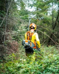 Mechanische Bekämpfung bedeutet, dass Maschinen oder Werkzeuge genutzt werden, um invasive Pflanzen abzuschneiden, zu mähen, fräsen oder zu entwurzeln. Auch das Anlegen von Barrieren oder das gezielte „Abernten“ durch Abtragen und Entfernen gehört dazu. Solche Maßnahmen können chemische Verfahren ergänzen und deren Wirksamkeit erhöhen.