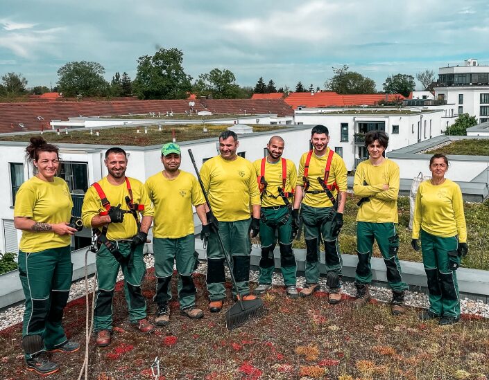 vitaforst-gebaeudebegruenung-gruendach-dachbegruenung-koeln Mit wertvollem Expertenwissen setzen wir gerne jegliche Form der Dachbegrünung in Köln für Sie um.