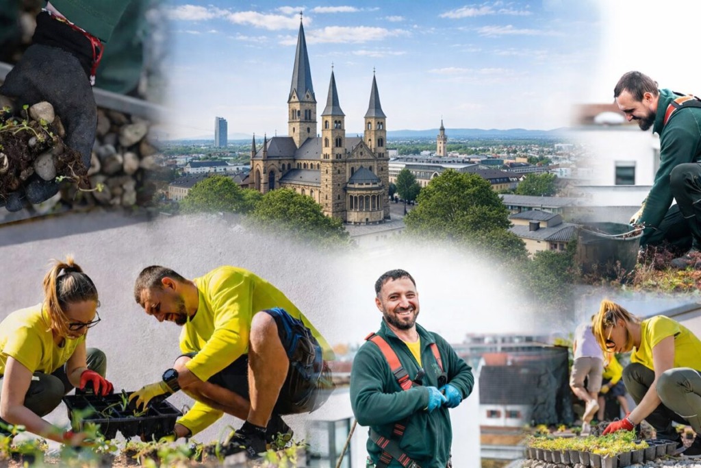 vitaforst-gruendach-dachbegruenung-bonn Vitaforst betreut sowohl private als auch gewerbliche und öffentliche Auftraggeber in Bonn. Dazu zählen Hausbesitzer, die Wert auf Nachhaltigkeit und den langfristigen Erhalt ihrer begrünten Dächer legen, sowie Wohnungseigentümergemeinschaften, die durch gepflegte Gründächer die Attraktivität und Lebensqualität ihrer Wohnanlagen steigern möchten.