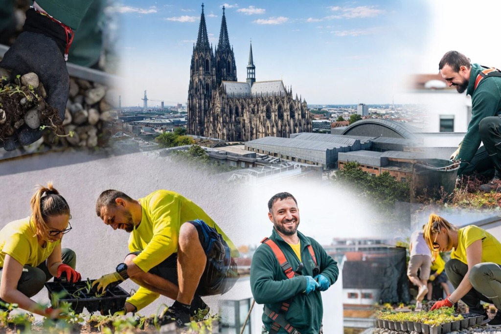 vitaforst-gruendach-dachbegruenung-nrw Vitaforst betreut sowohl private als auch gewerbliche und öffentliche Auftraggeber in NRW. Dazu zählen Hausbesitzer, die Wert auf Nachhaltigkeit und den langfristigen Erhalt ihrer begrünten Dächer legen, sowie Wohnungseigentümergemeinschaften, die durch gepflegte Gründächer die Attraktivität und Lebensqualität ihrer Wohnanlagen steigern möchten.