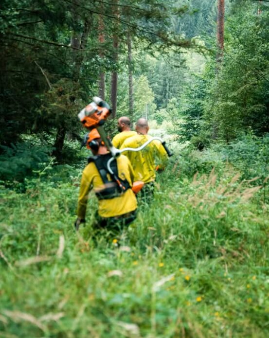 Nur durch ein genauso gut geplantes wie realisiertes Vorgehen lassen sich Ausbreitung und Schäden durch invasive Pflanzen bzw. Arten in Bayern minimieren.