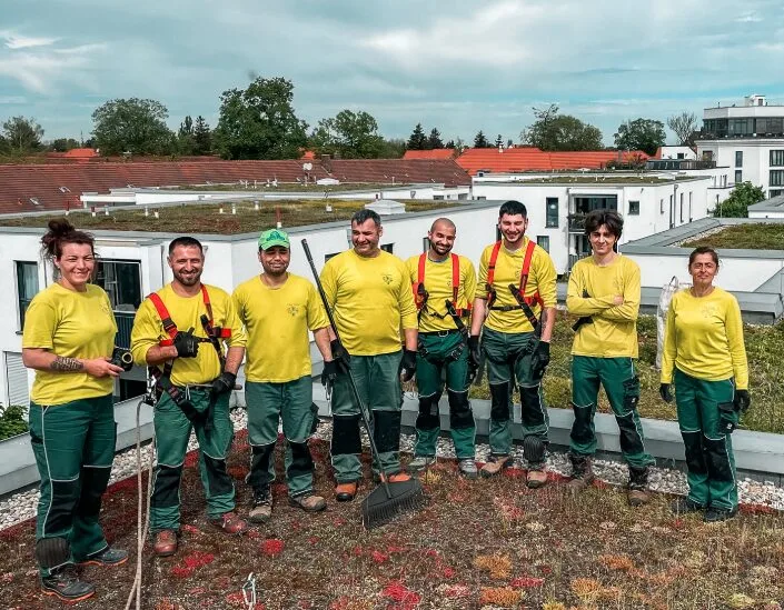 In der Funktion als Projektleiter (Dachbegrünung & Landschaftspflege) stellen Sie eine tragende Säule von VitaForst dar. Sie übernehmen Verantwortung in verschiedenen Aufgabenbereichen und unterstützen dabei das Team und die Führungsebene bei ihren täglichen Aufgaben.