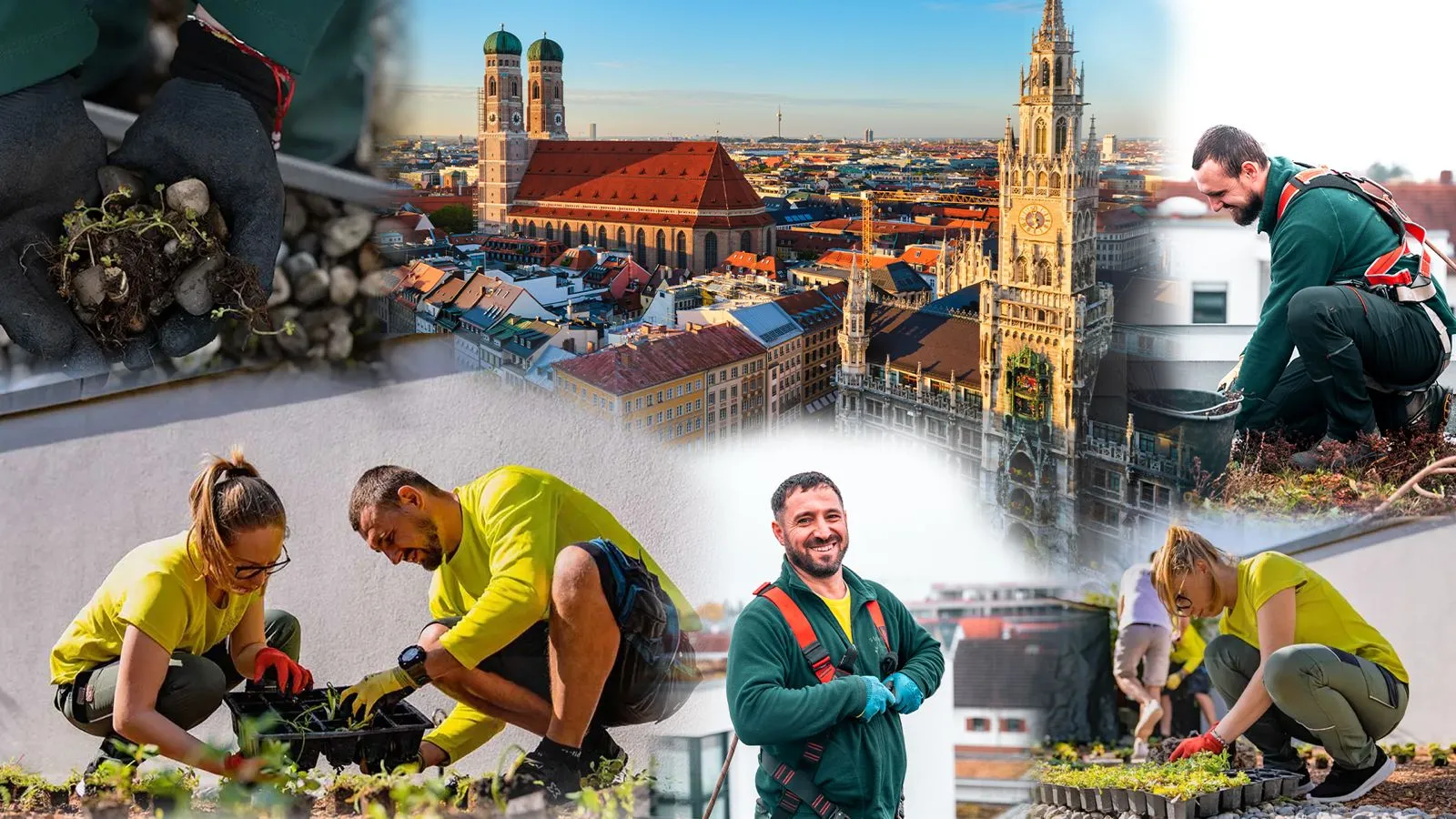 Als Projektleiter (Dachbegrünung & Landschaftspflege) verantworten Sie Ihre Projekte von A bis Z. Sie beurteilen vor Ort die Machbarkeit, beraten Kunden zur optimalen Lösung, kalkulieren und erstellen Angebote sowie beschaffen Material – und setzen anschließend mit Ihrem Team um, was Sie geplant haben.