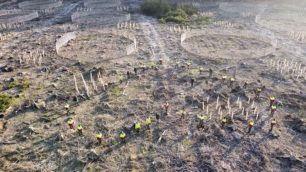 Wildzaun bauen lassen: VitaForst – Ihre Firma für fachgerechten Forstzaun-Aufbau.